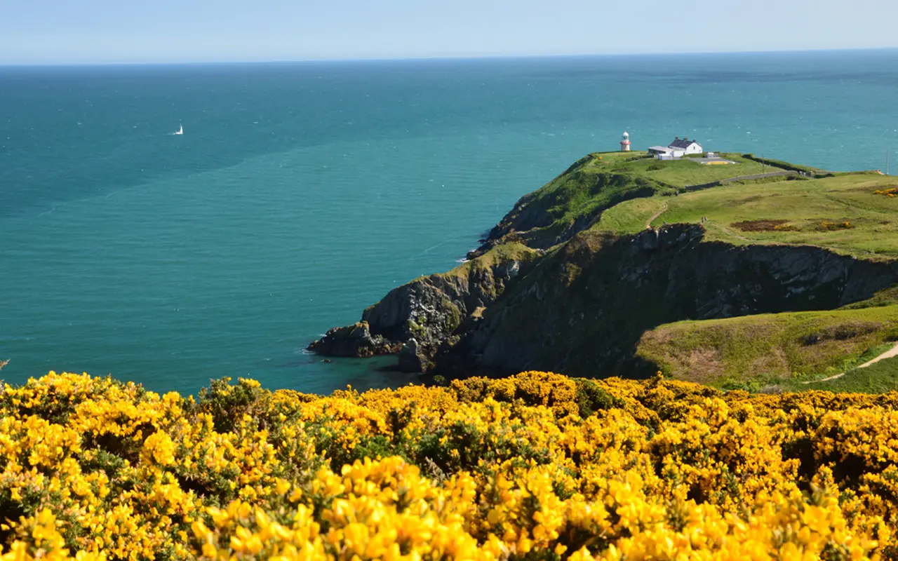 Spectacular coastal scenery along Ireland's Ancient East